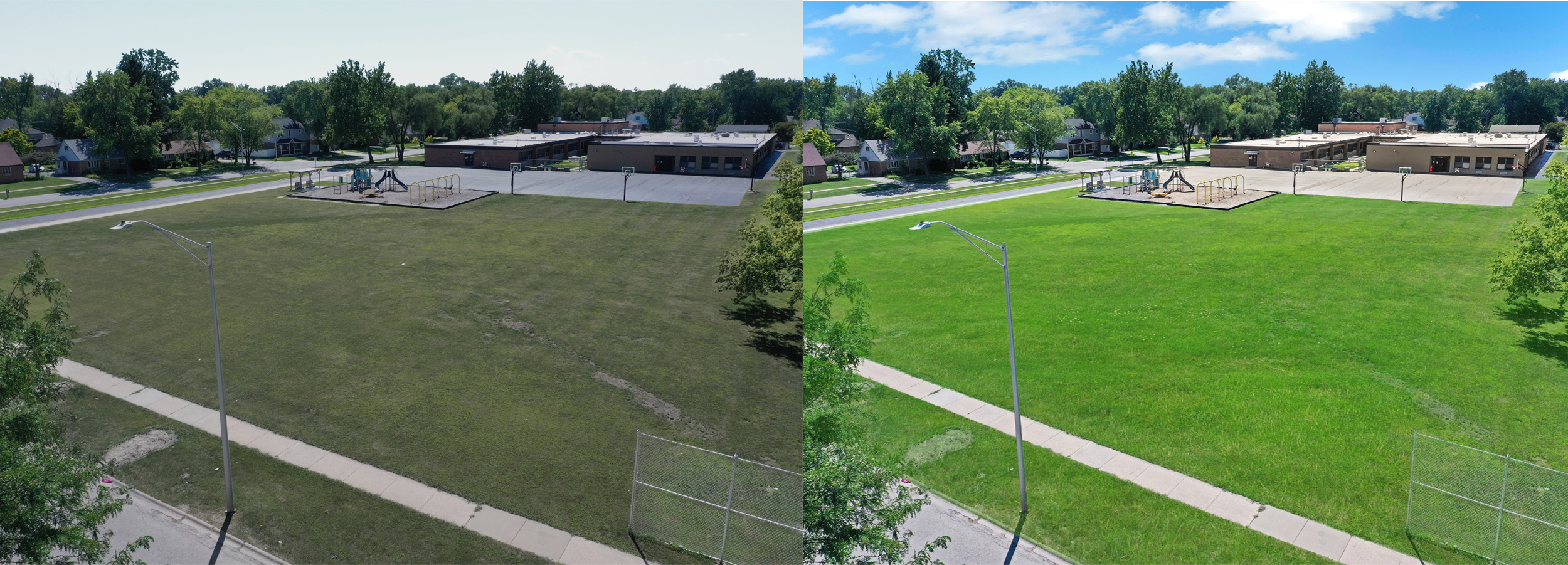 Sky-Grass-replacement2